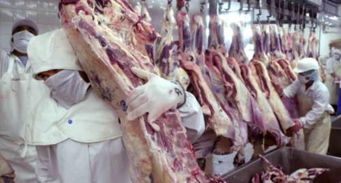 Lluvias e inundaciones provocan caída de exportaciones de carne