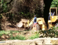 Denuncian desmonte del Cerro Lambaré y concejal responde