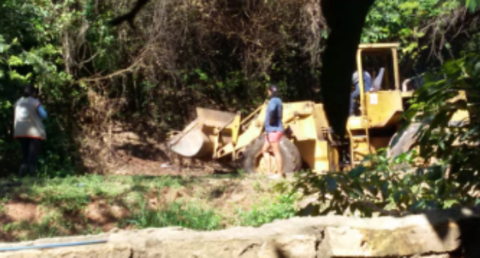 Denuncian desmonte del Cerro Lambaré y concejal responde
