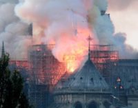 Incendio de Notre Dame: Rescataron algunas piezas históricas