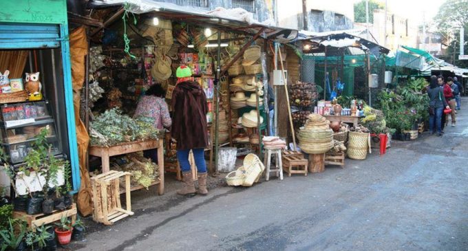 Yuyos para luchar contra “karuvai” y resaca en Semana Santa