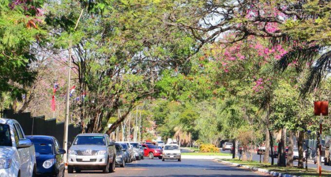 Domingo cálido a caluroso y con posibilidad de lluvias dispersas