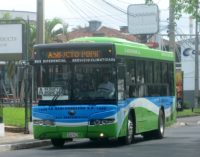 Subsidio a empresarios transportistas está “inflado”