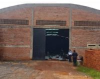 Encuentran marihuana entre carnes para exportar