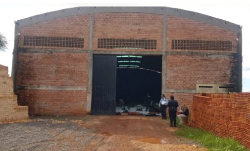 Encuentran marihuana entre carnes para exportar