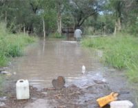 Angustiante situación de indígenas en el Chaco ante inundaciones