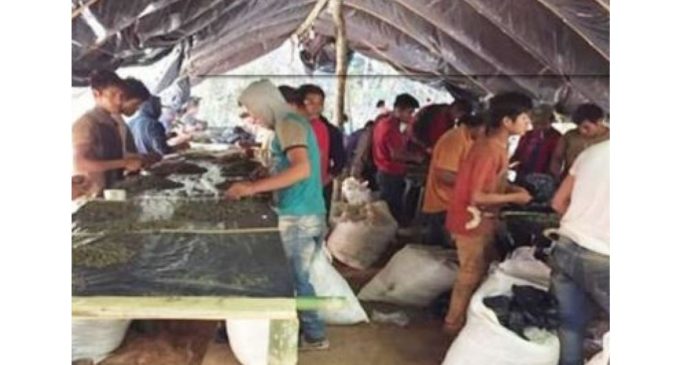 Denuncian secuestro y asesinato de niños indígenas en Amambay