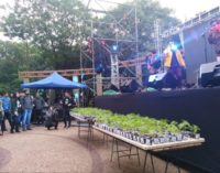 Vice Ministro de la SENAD denuncia a Mamá Cultiva