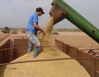 Senado rechazó aumento del impuesto a la exportación de soja