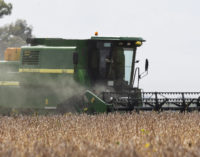 Reforma fiscal eliminaría devolución de crédito por IVA a agroexportadores