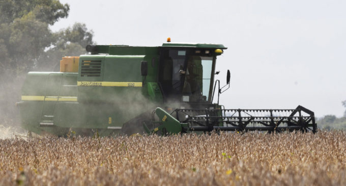Reforma fiscal eliminaría devolución de crédito por IVA a agroexportadores