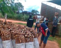 Productores de mandioca se manifiestan frente al MAG