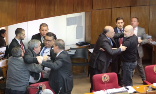 Riera y Payo, a los puños en el Senado