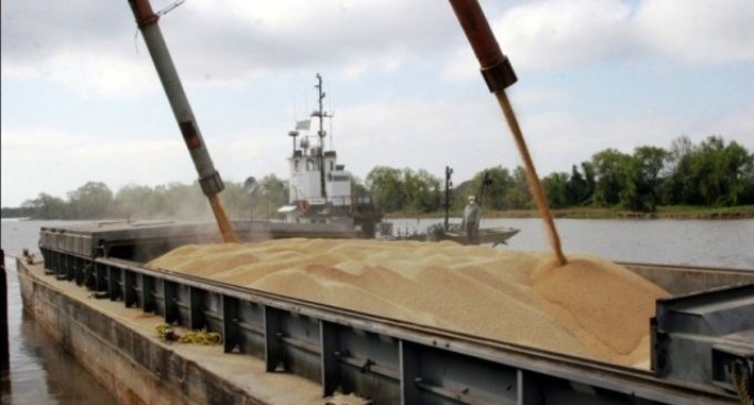 Agroexportadoras presentarán acción de inconstitucionalidad si se elimina devolución del IVA
