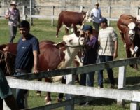 ARP plantea registro nacional de personal de estancias
