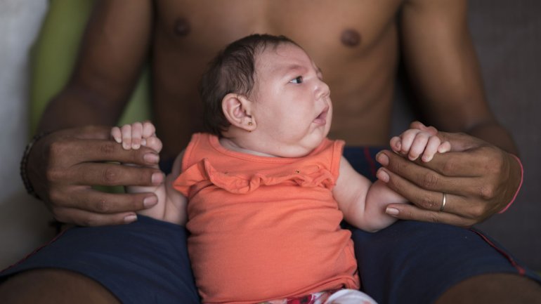 Las tres razones de la Organización Mundial de la Salud para convocar a una reunión sobre el zika