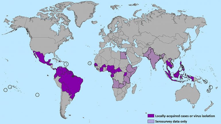 El zika se propaga en América Latina y temen por consecuencias en los fetos