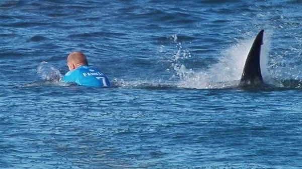 Mick Fanning relata cómo logró salvarse de ser devorado por un tiburón