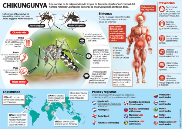 Salud investiga nuevo posible caso importado de Chikungunya