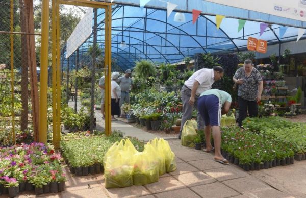 IPS accedió a la creación de Parque Ecológico