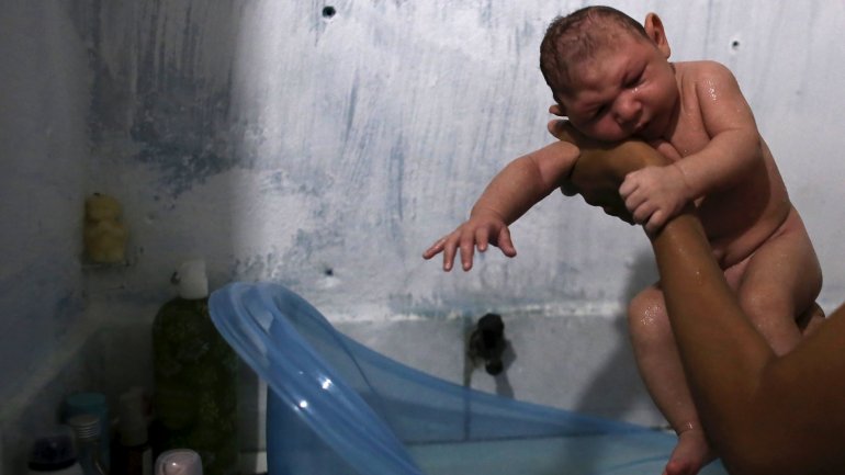 Brasil confirmó más de 500 casos de microcefalia por virus del zika
