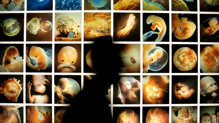 Científicos modificarán genéticamente embriones humanos sanos
