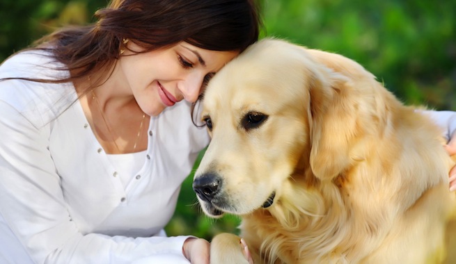 Según estudios: ¡Su perro sabe lo que usted siente!
