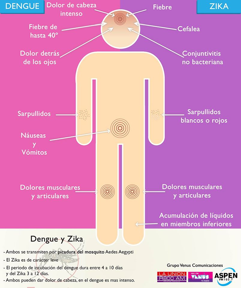 ¿Cómo intervenir activamente en la prevención de Dengue, Zika y Chikungunya?