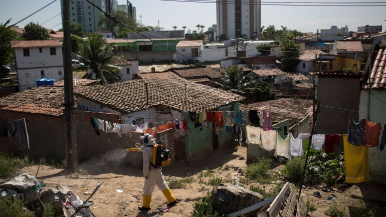 Brasil pierde la guerra frente al zika por falta de dinero e inoperancia