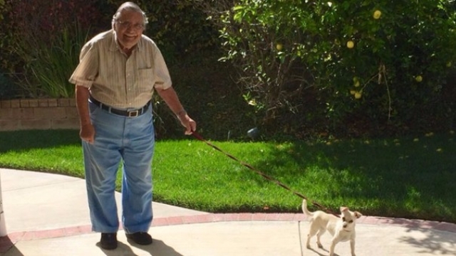 La tierna foto de un abuelito que causó furor en las redes