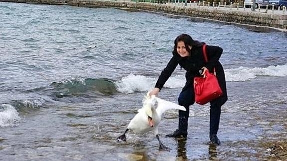 Mató a un cisne al intentar sacarse una foto