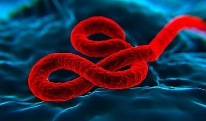 Ébola puede estar “durmiente” y contagiarse de nuevo