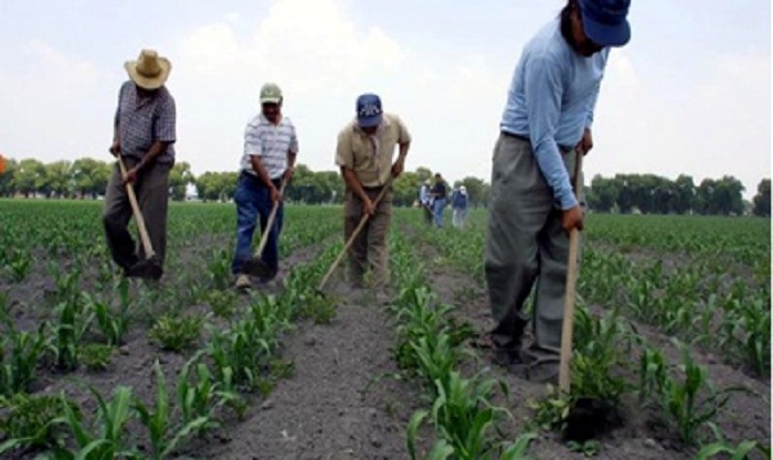 INDERT brinda asistencia a familias campesinas