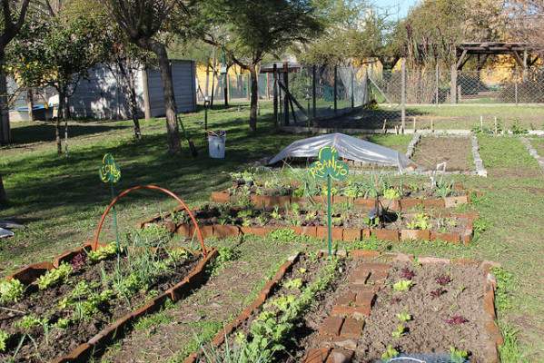 La huerta es una opción para obtener verduras frescas