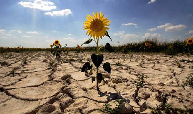 El riesgo del cambio climático obliga a repensar las inversiones financieras