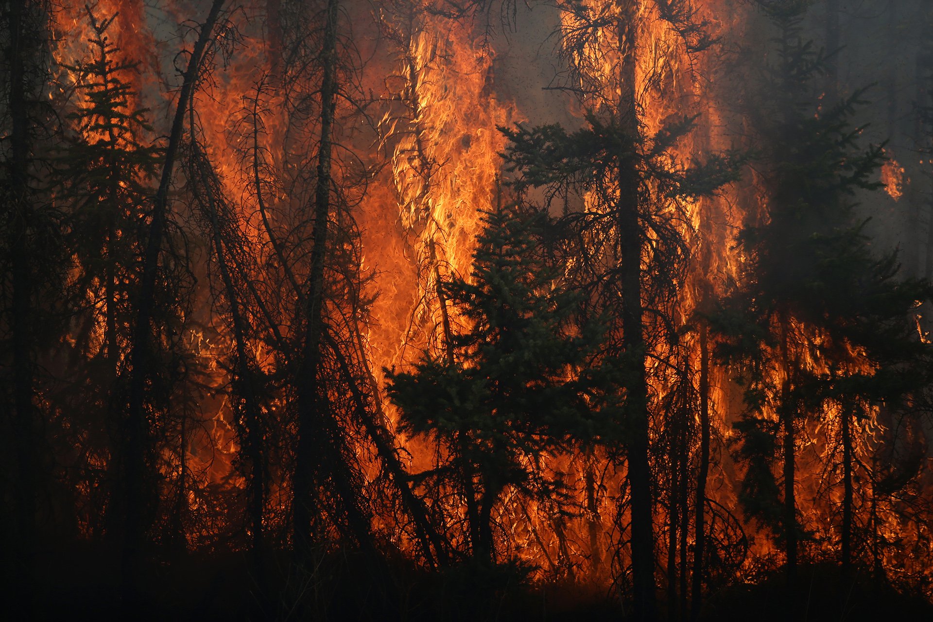 En Canadá ocurrió un incendio forestal de magnitud “inimaginable”
