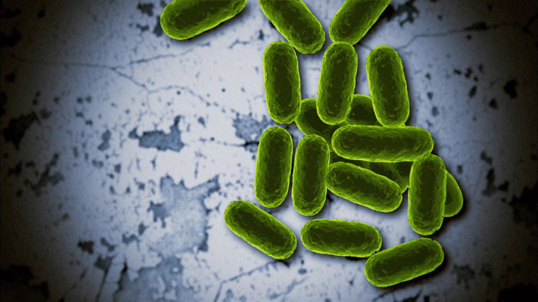 Hallan en EE.UU. una superbacteria resistente a los antibióticos