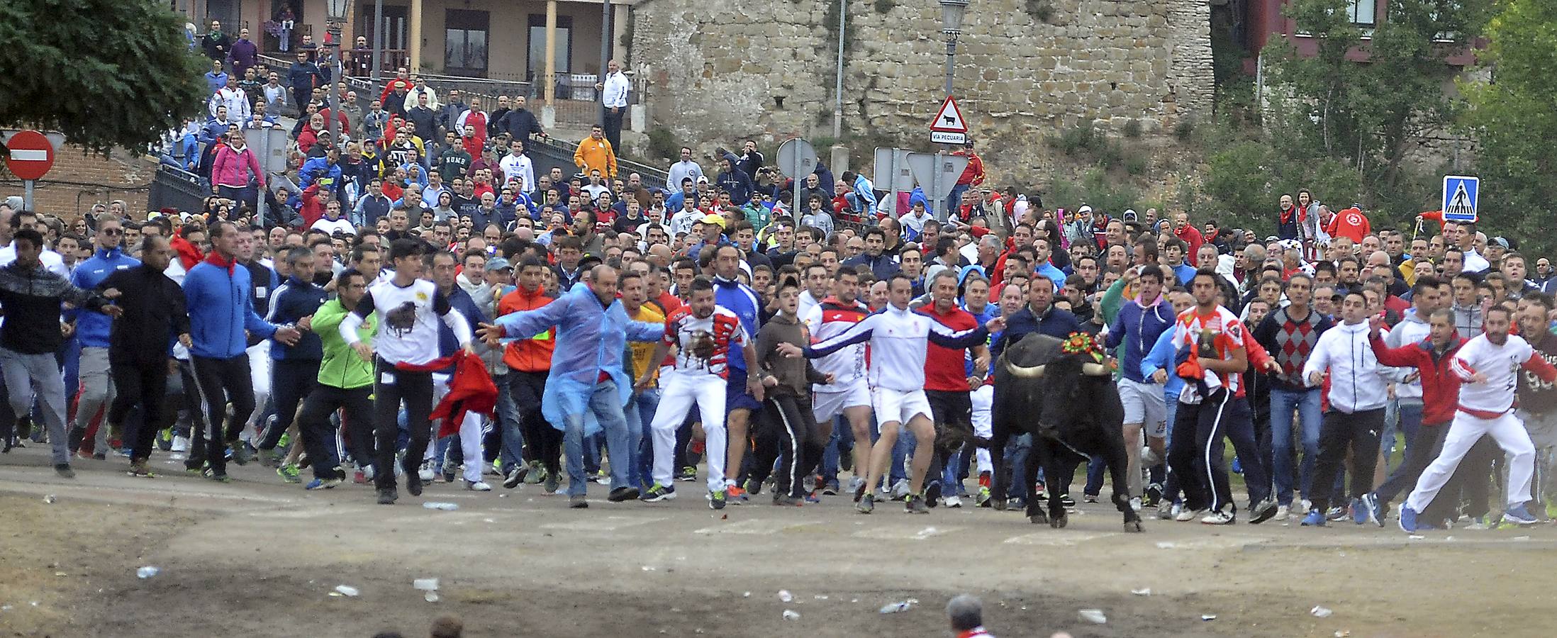 En España prohíben lancear y matar al toro