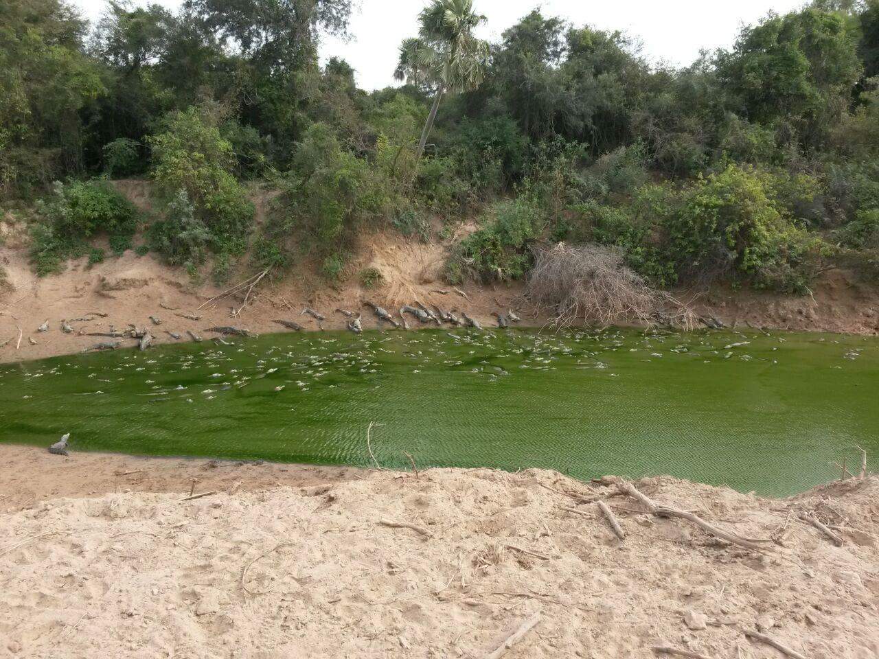 La SEAM realizó un comunicado sobre la situación de las zonas afectadas por el Pilcomayo