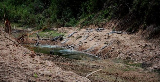 El conocimiento empírico de los lugareños prendió la lamparita a los especialistas