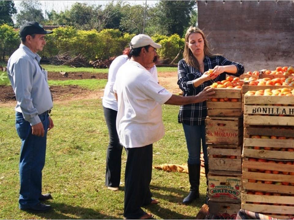 Productores de Central realizaron la venta de la primera partida de tomates a la cadena de mini mercados CityMarket