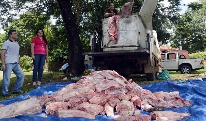 Caen cazadores con 400 kg de carne de animales silvestres