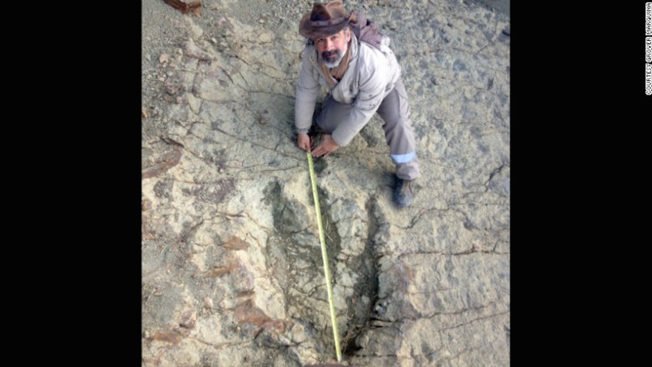 Encuentran en Bolivia la huella de dinosaurio más grande
