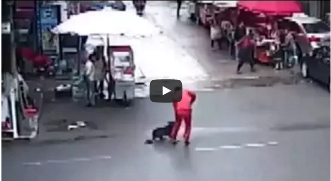 Un perro ataca a más de 20 personas en China