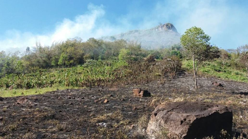 Ministro de la SEAM alega que el incendio fue provocado