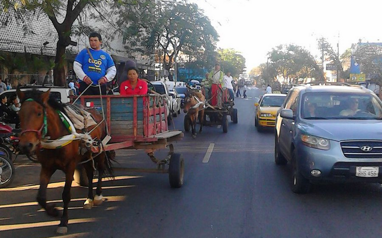 Carriteros a la Junta Municipal pidiendo cambio de carritos por motocarros