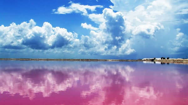 La mágica laguna rosa que sorprende al mundo