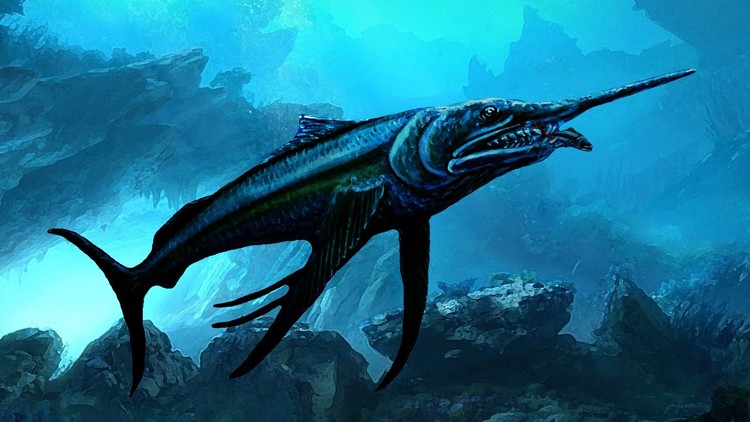 Hallan restos de un pez espada de la época de los dinosaurios