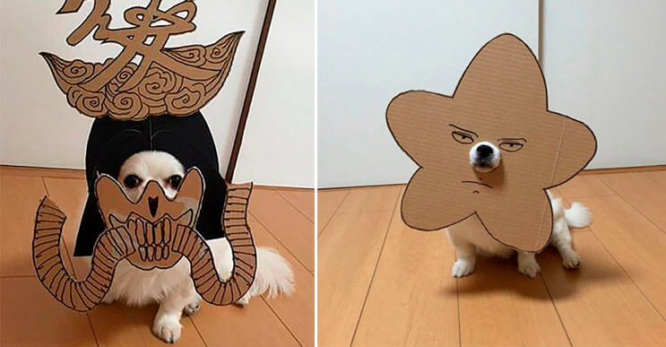Una artista fabricó disfraces de cartón para su perro