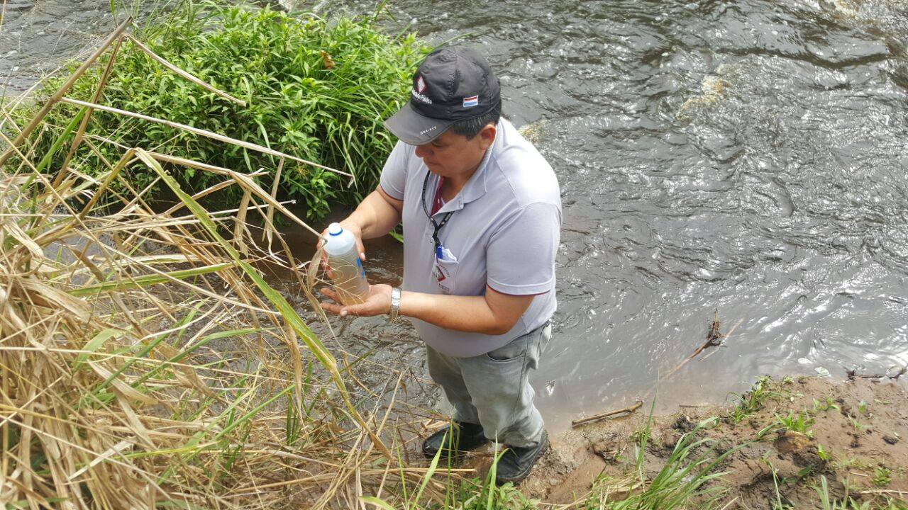 Allanan azucarera por mortandad de peces